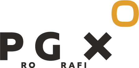 Prografix-OnData